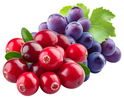 A Cranberry and Grapes